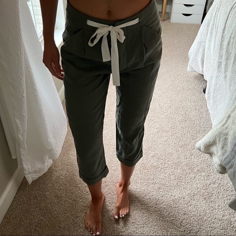 Wilfred Aritzia pants